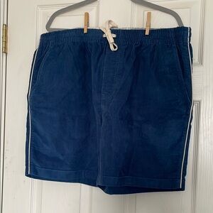 J. Crew Blue Casual Shorts